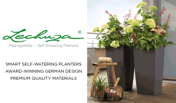 Lechuza self-watering planters